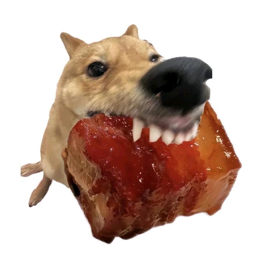 一坨红烧肉