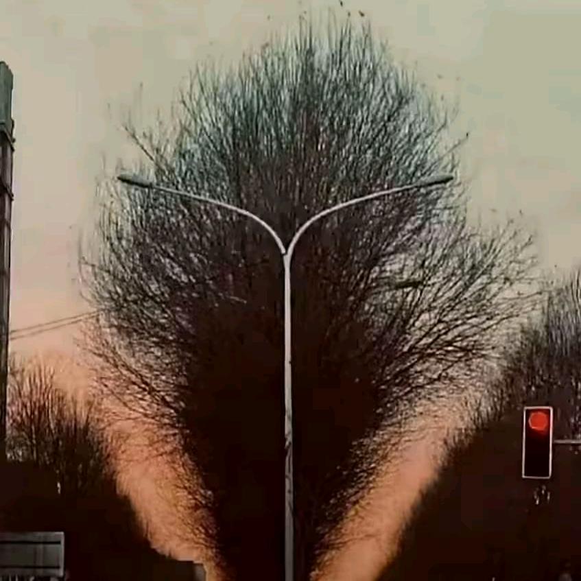 忙79