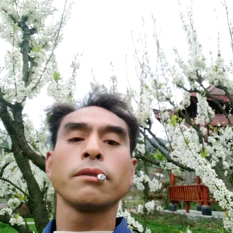 开心每一天，刘开强，不定时开播