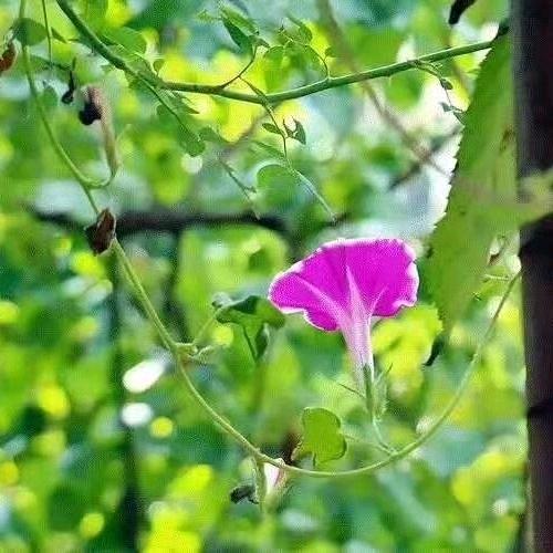 幸福的人_⁹⁰⁹
