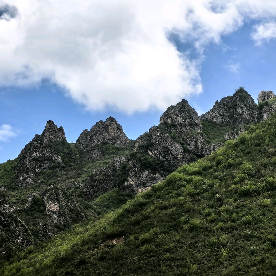 杰杰
