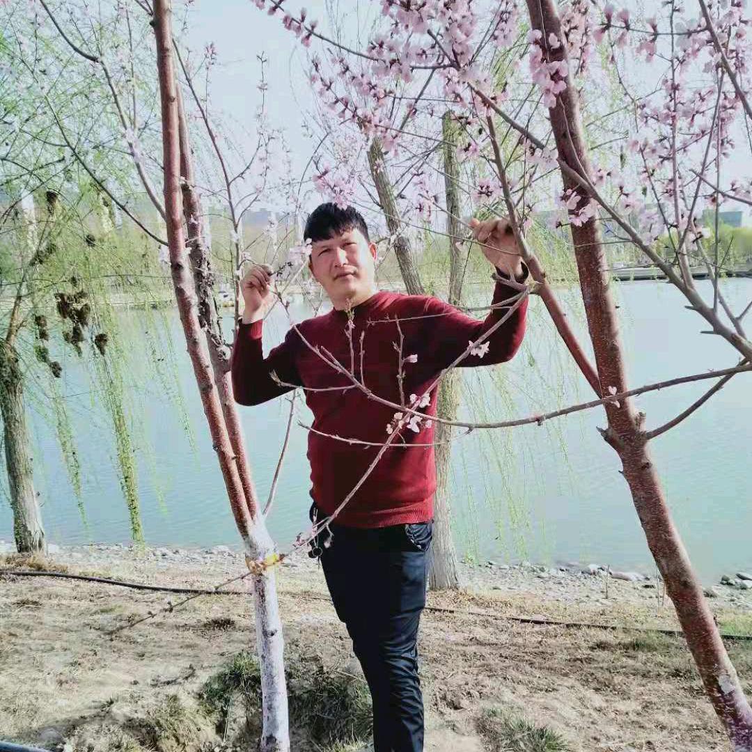 艾力司机