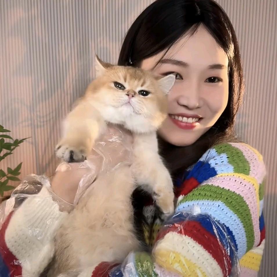 努力的琪宝
