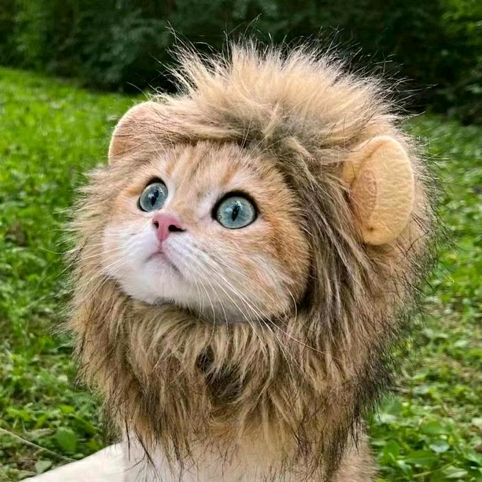 哔哩哔哩小超人