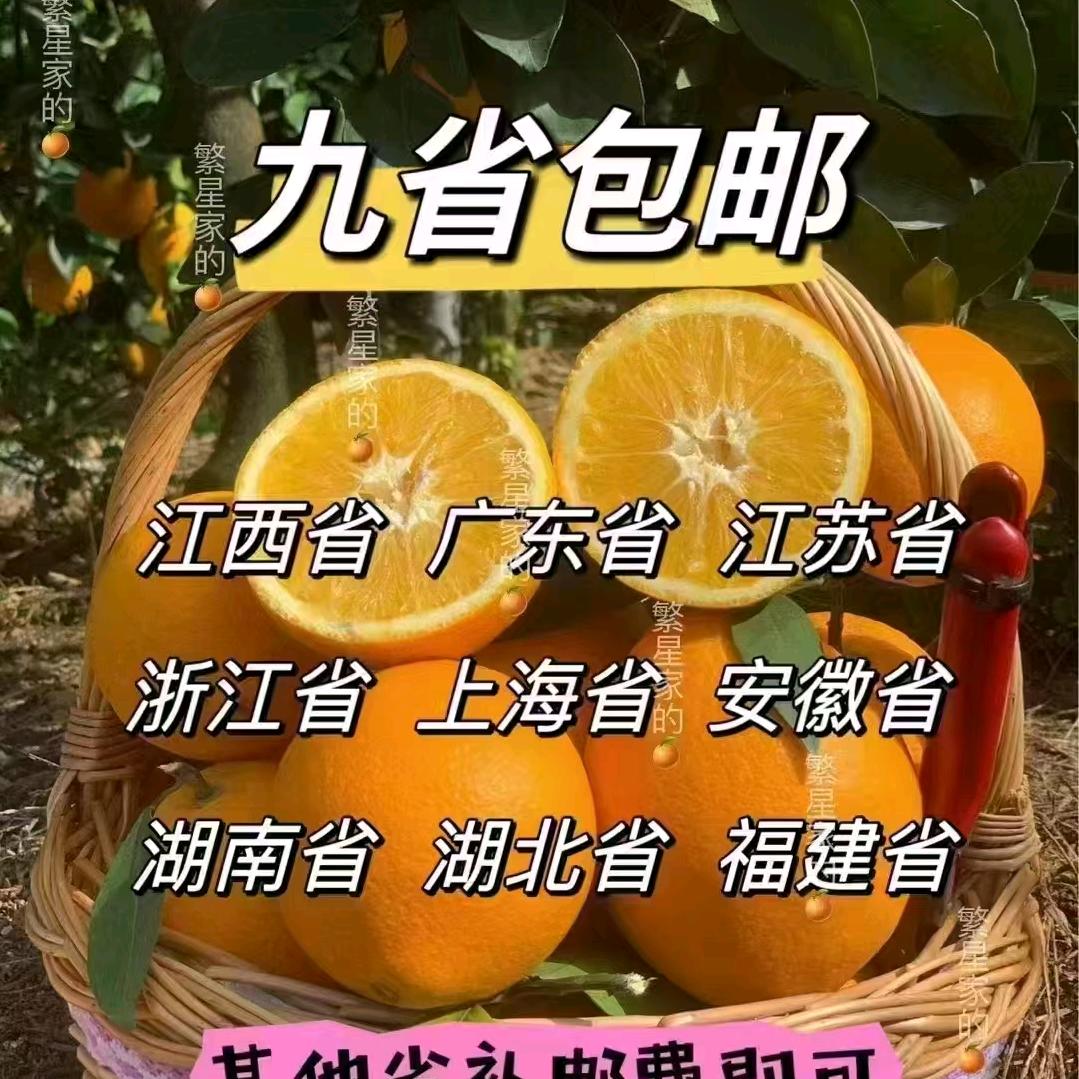 佰果优水果店钟金华