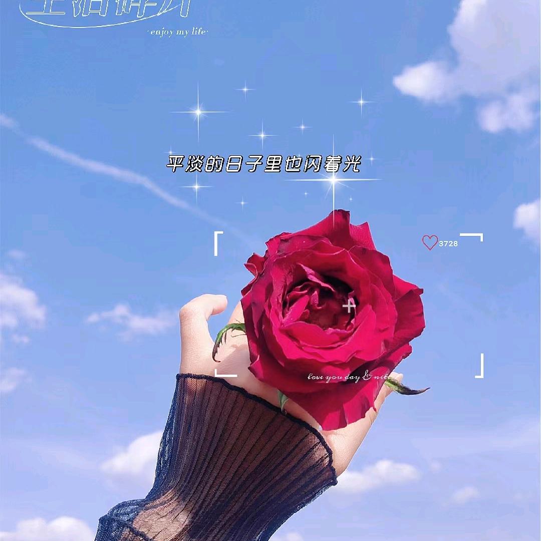 宸宝贝