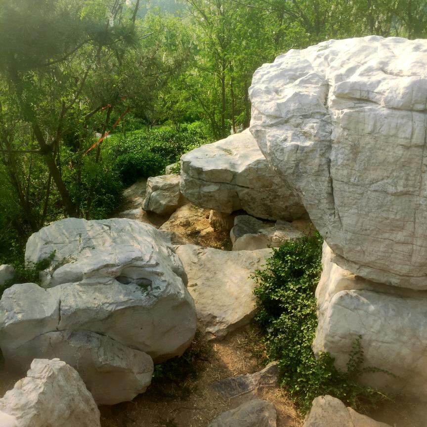 栋哥（邹玉栋）