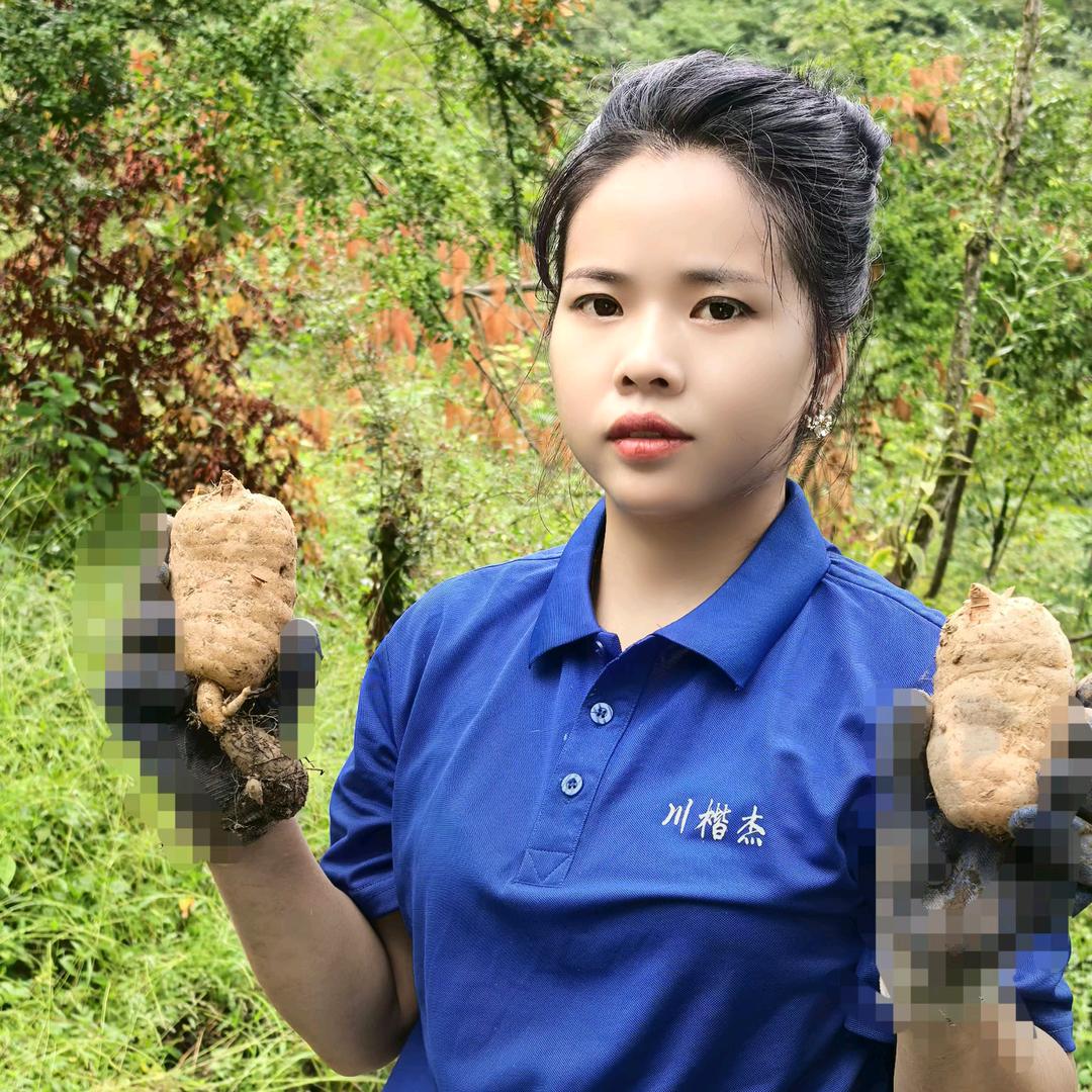 川楷杰滋补专营店