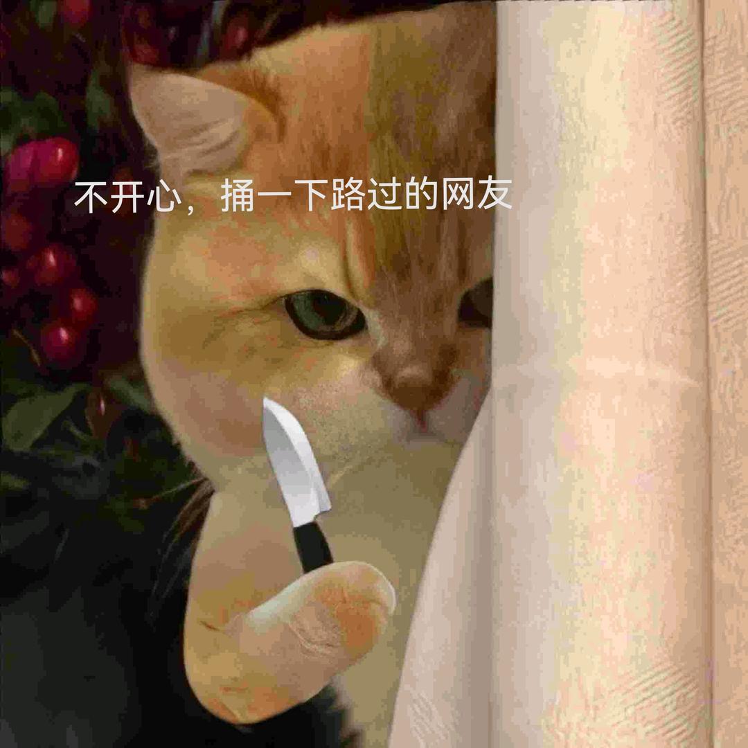 南北!