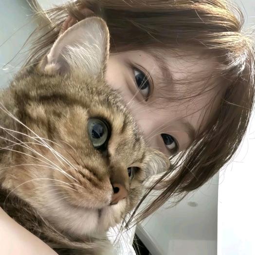 小᳐含大王᳐੭