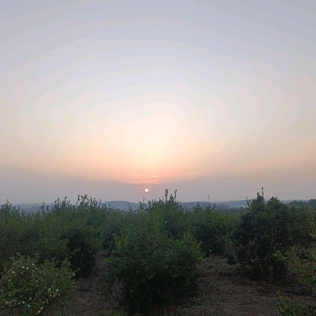 全国工商业、储能（资方）