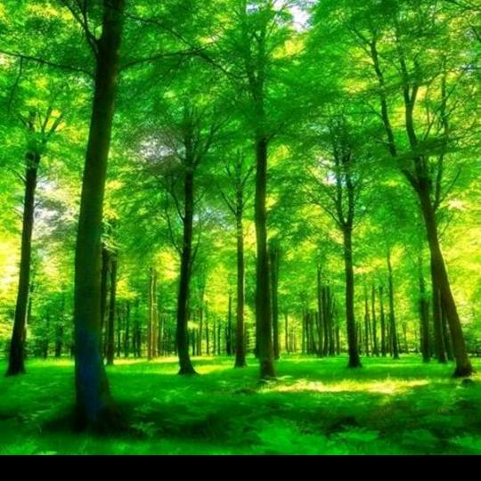 🇨🇳单身哥🇨🇳