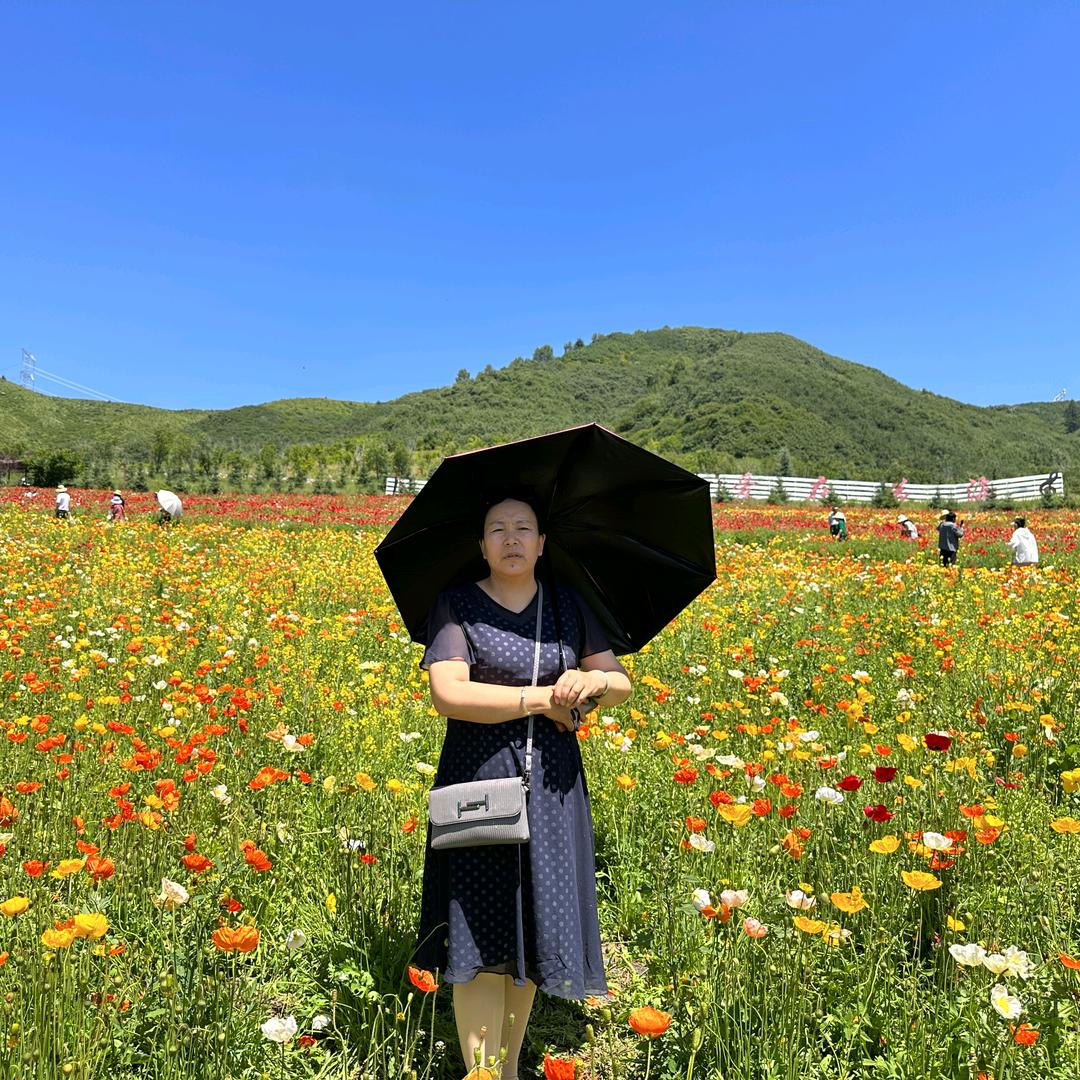 雪儿