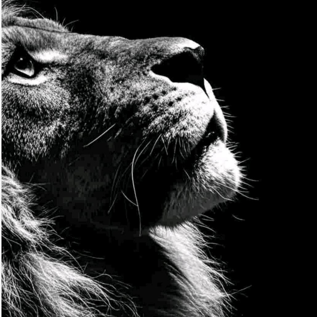 JIang究   不将就