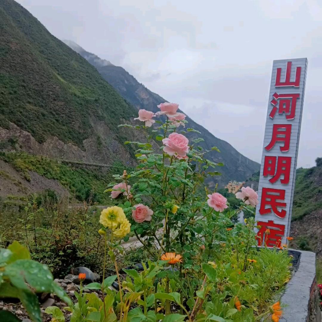 美好的春天