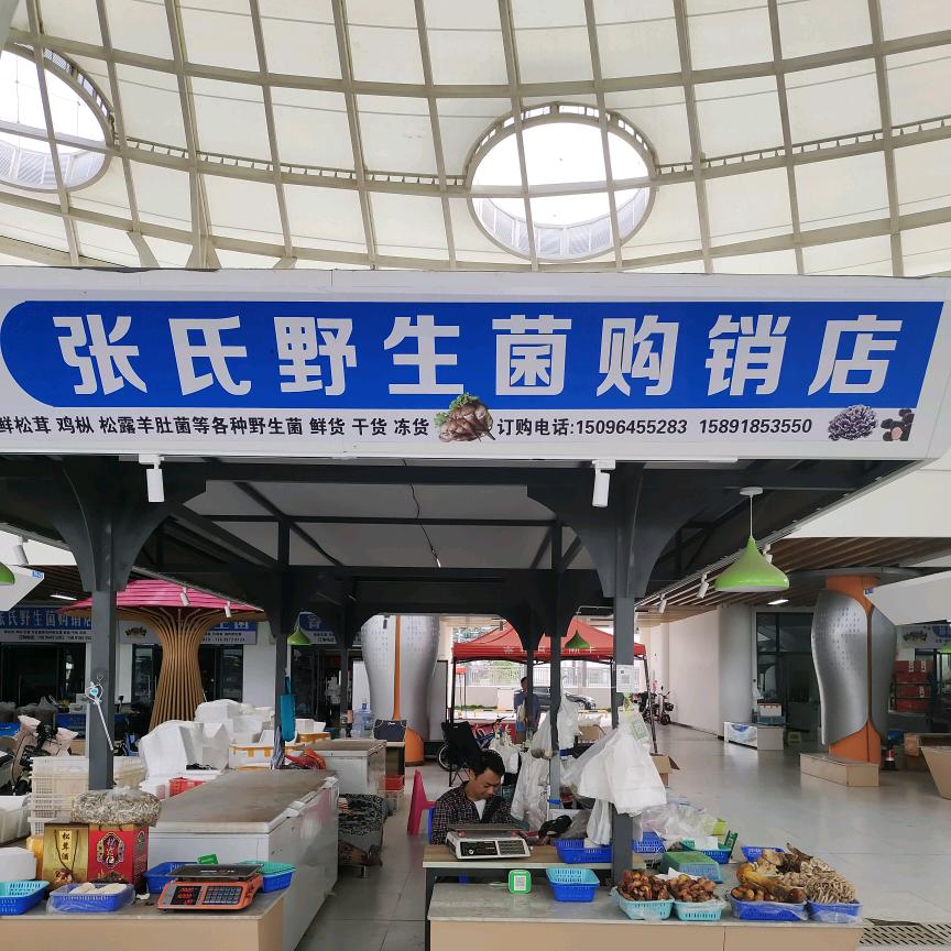 南华张氏野生菌购销店