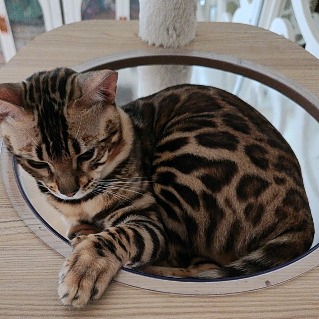 小明头像