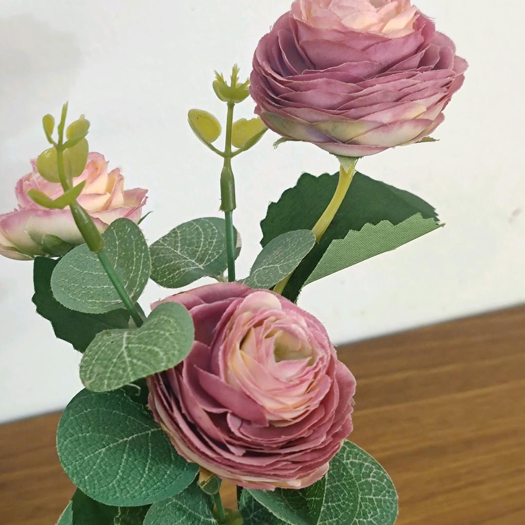 阿野爱吃可乐鸡翅