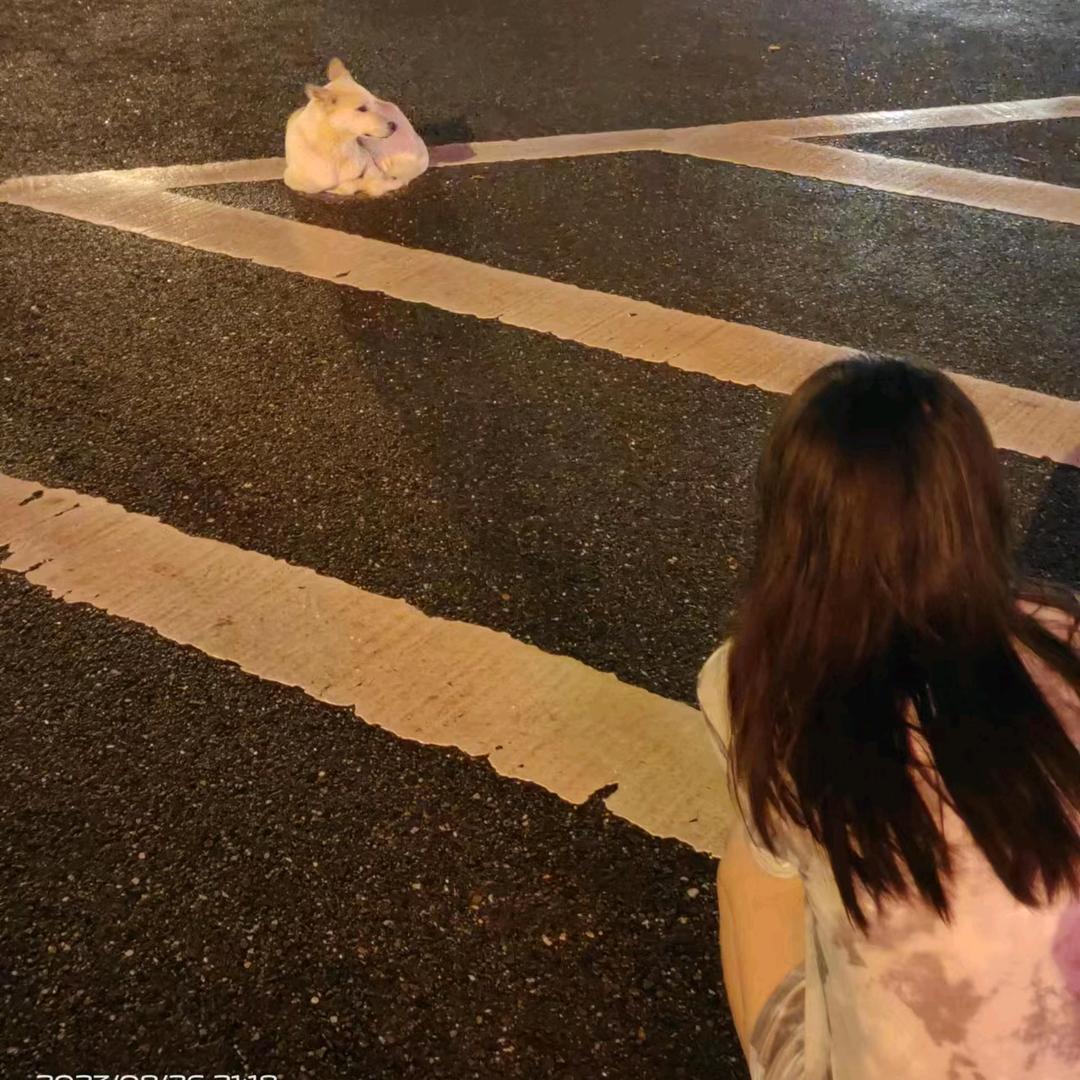 心颖