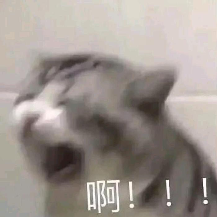 摆烂小黄