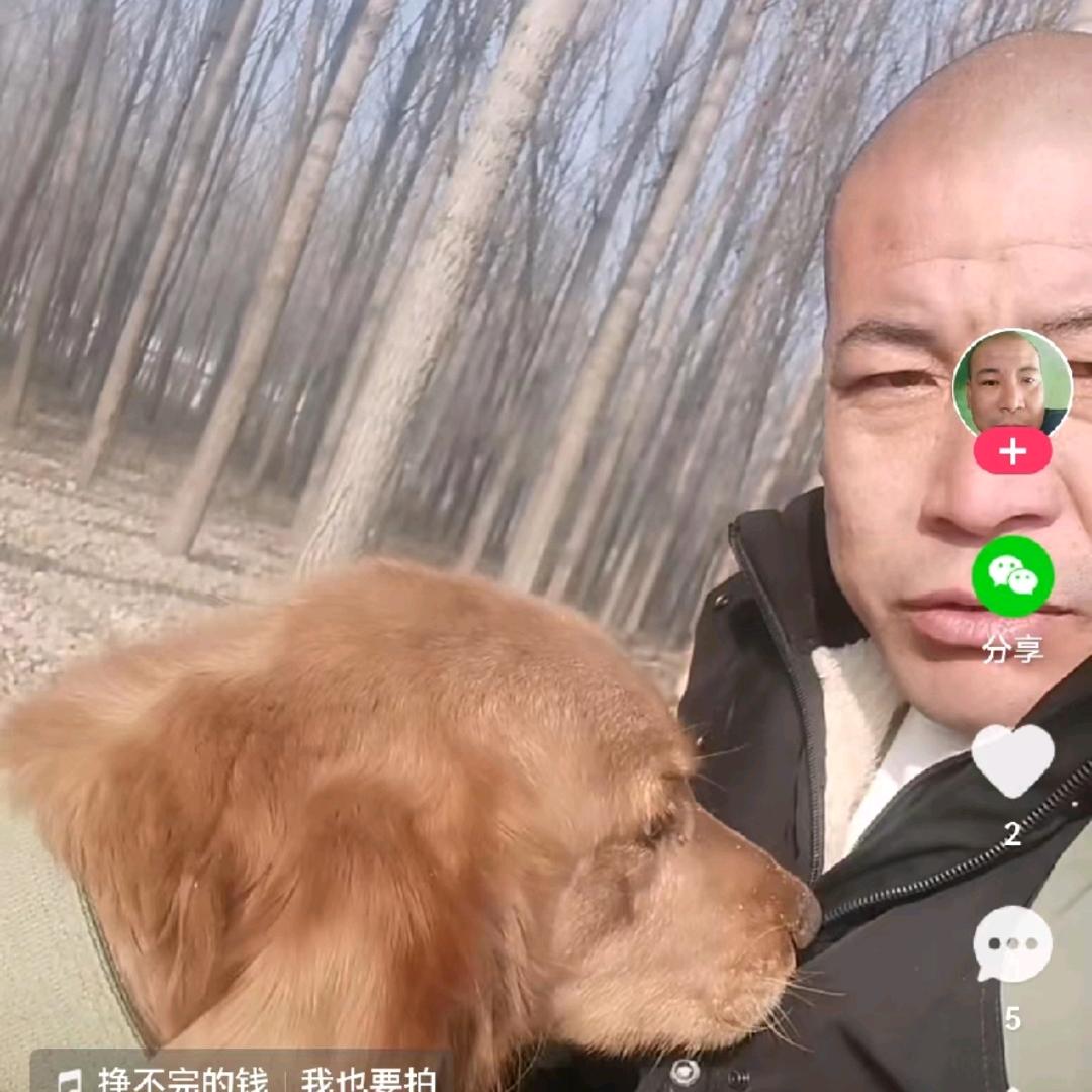 光头哥记录生活