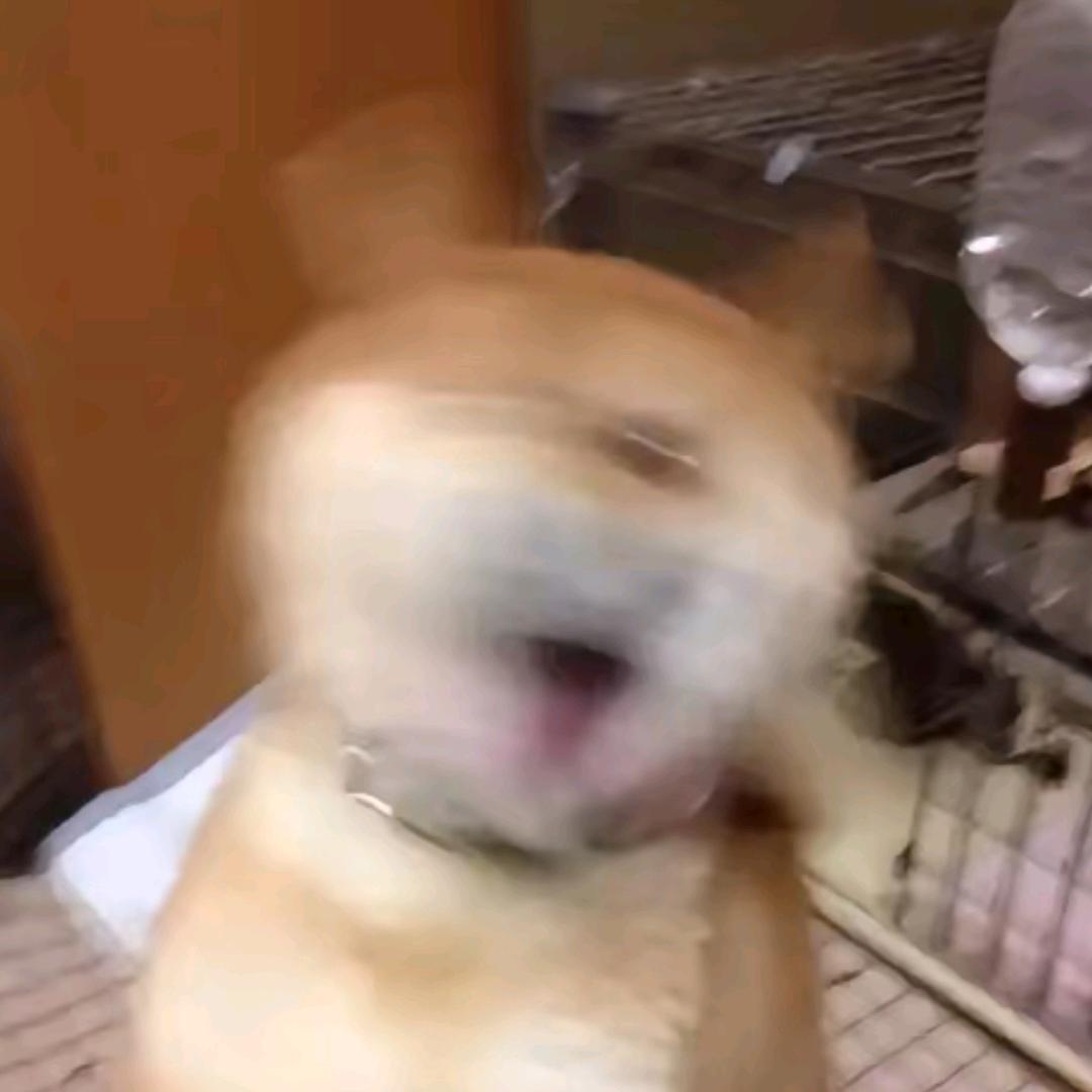 UIGOHD