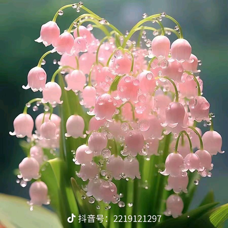 ღ᭄💞微笑ོএ: 向钱💞