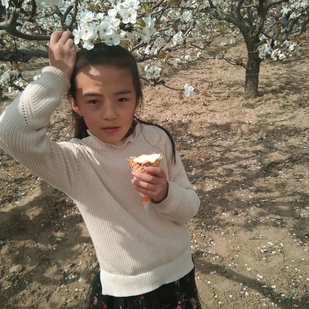柠檬🍋🍋