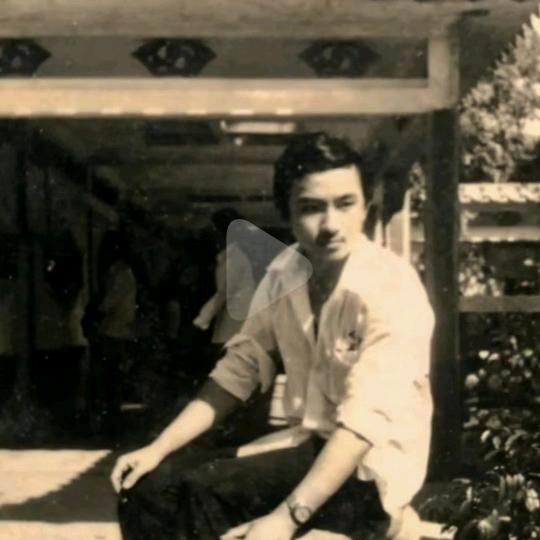 可可手写