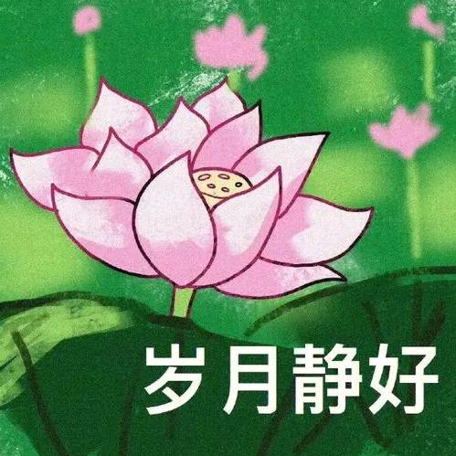 刘姐醉71岁