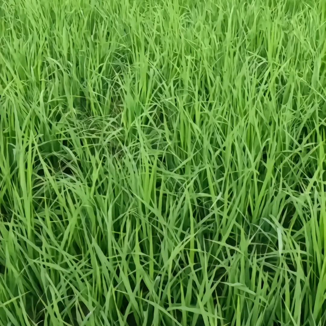 好物推荐