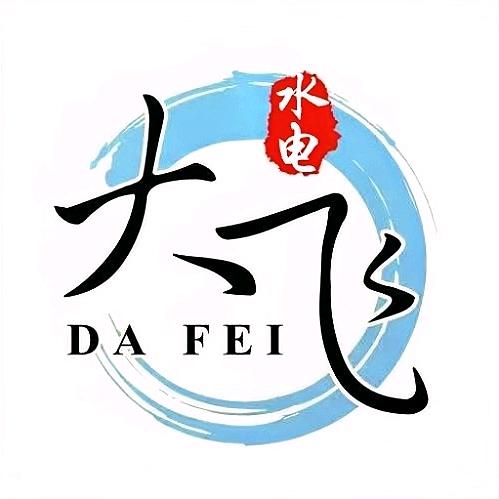 献县 大飛  水电