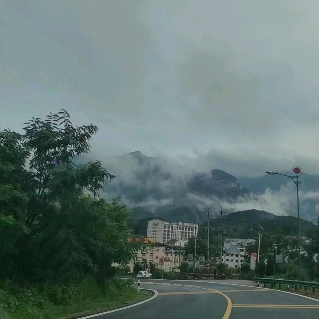 🌻🌻哇塞的菇晾💐💐