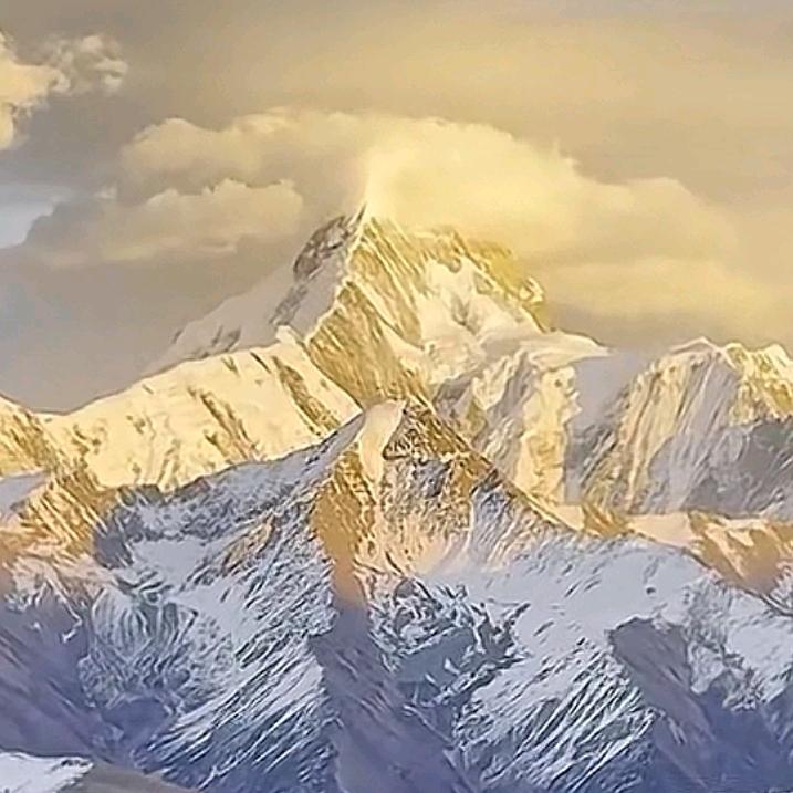 执锐砺锋头像