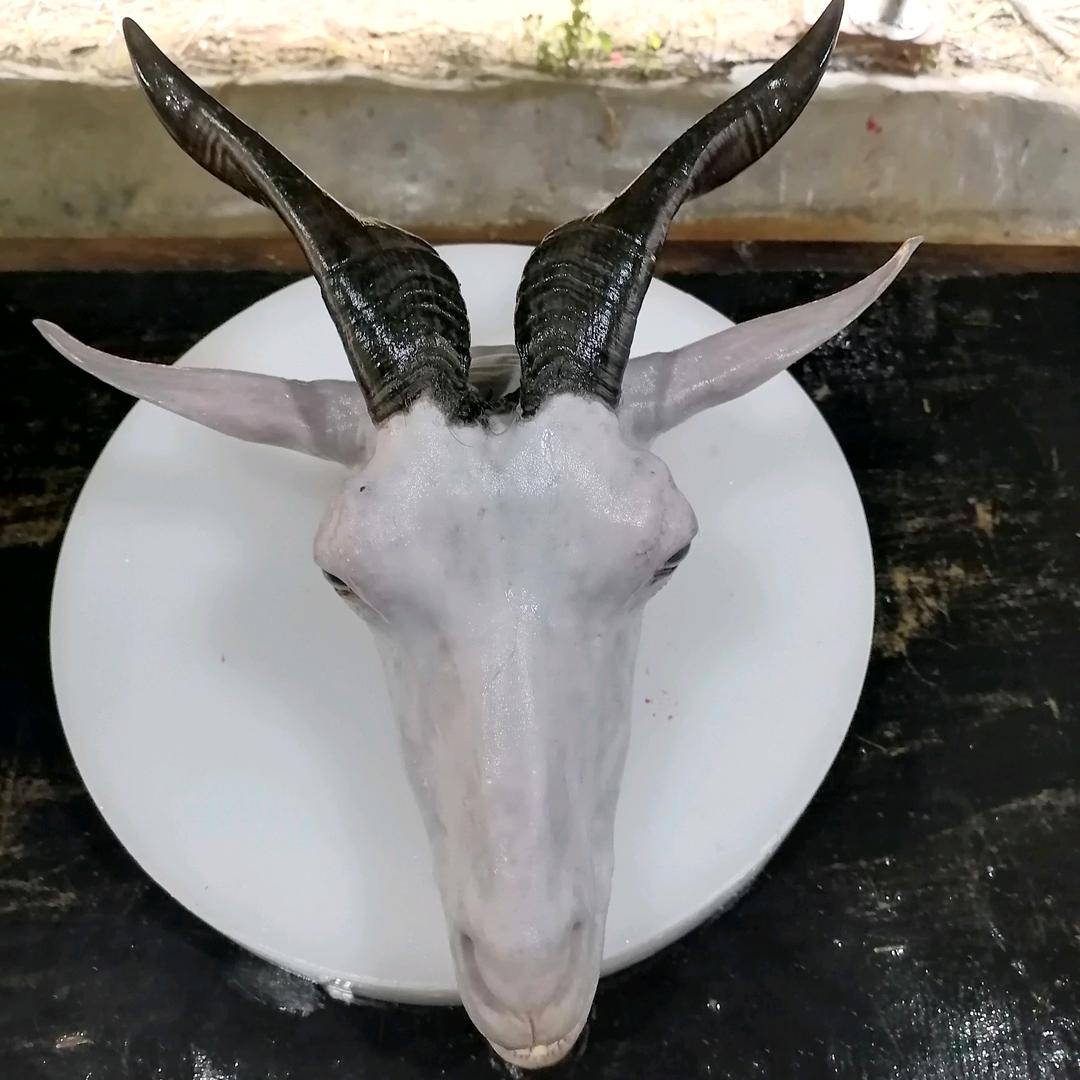 化州市利源黑山羊