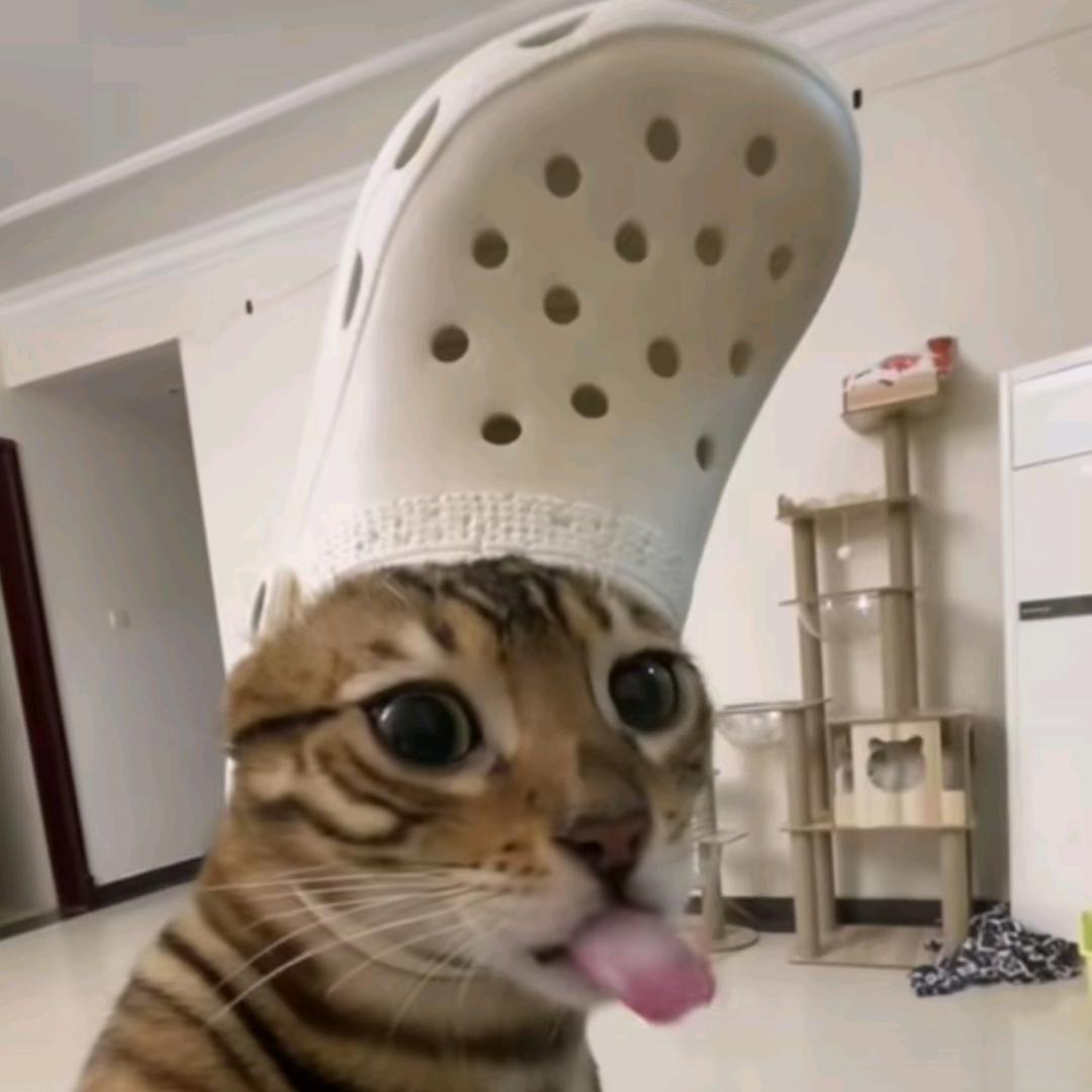 健康顺遂心想事成八方来财的美丽女人