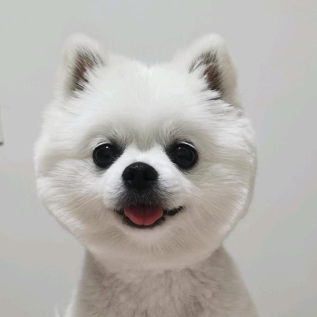 明哥