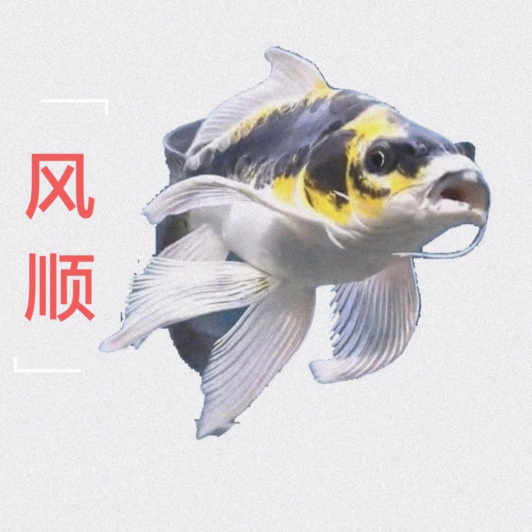 风顺水族