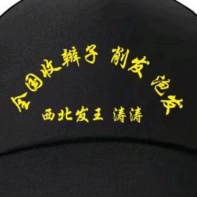 西北发王(涛涛全国大量收各类头发)