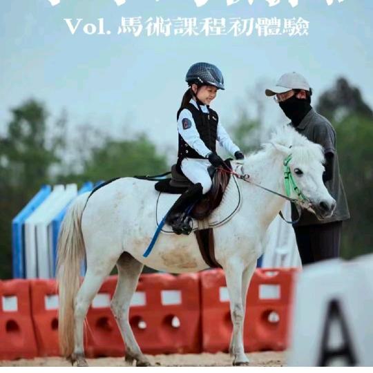 马术运动