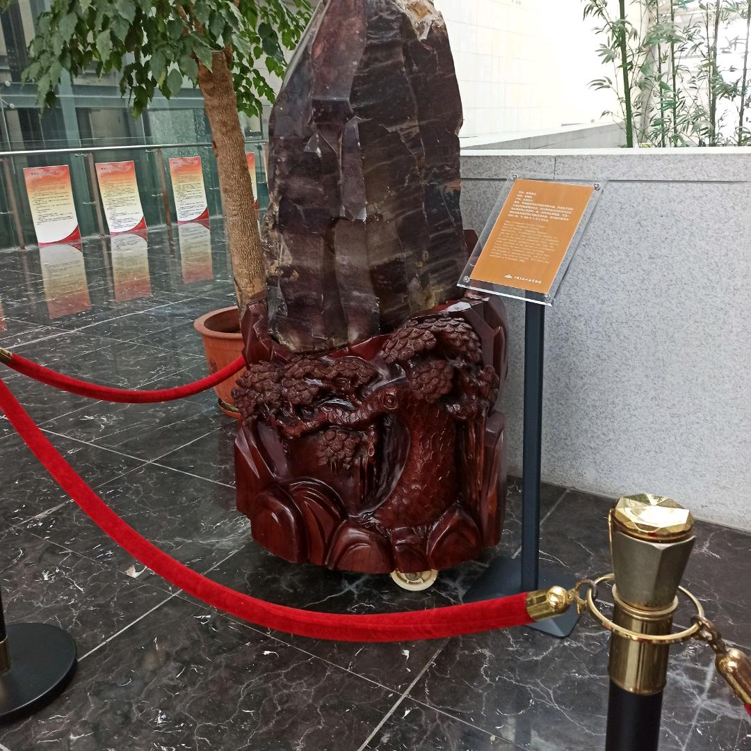 全家福