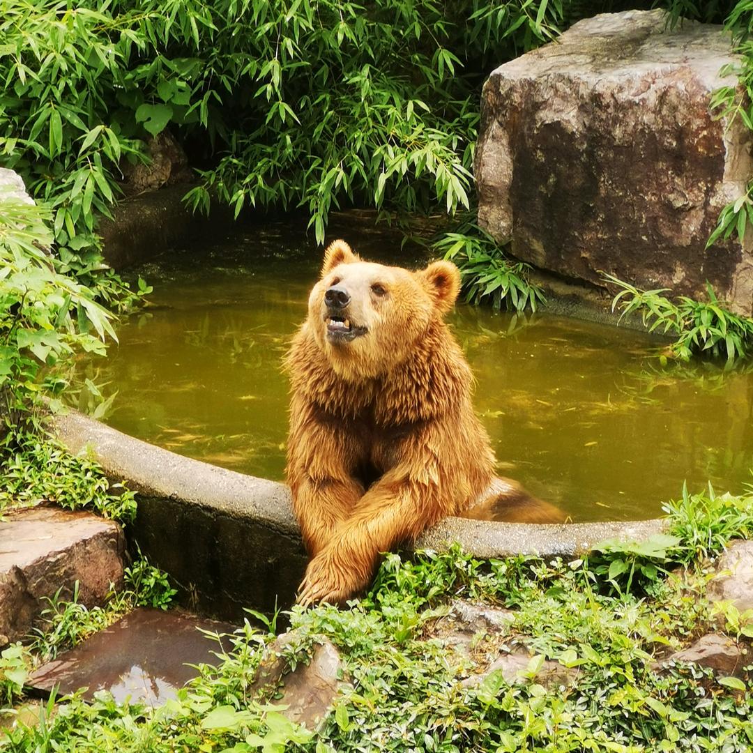 眺望未来奋发图强