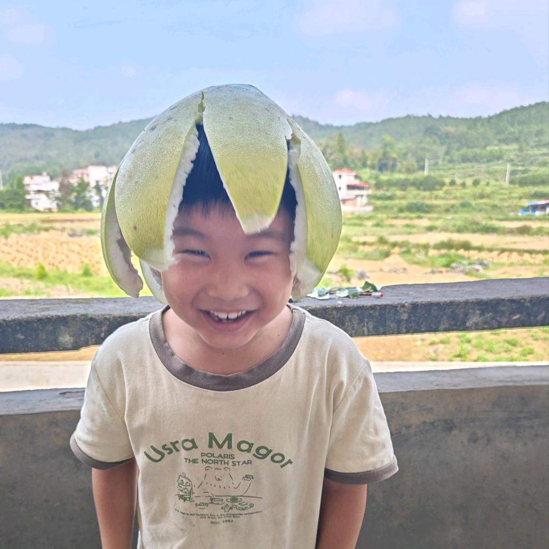 理达书