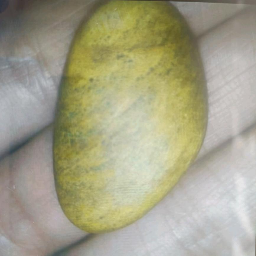 久悦籽玉