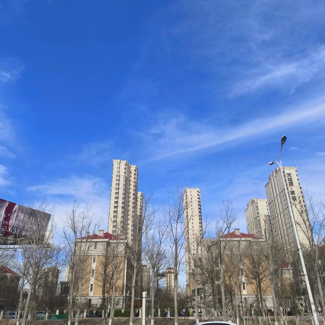 朱丽