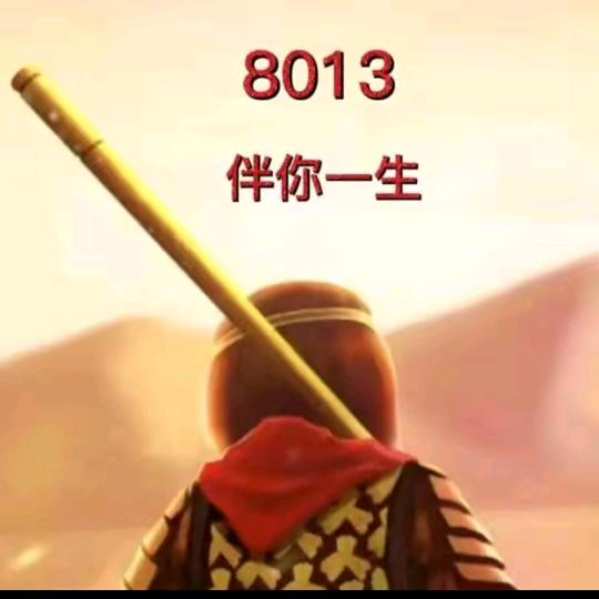 8013走走看看