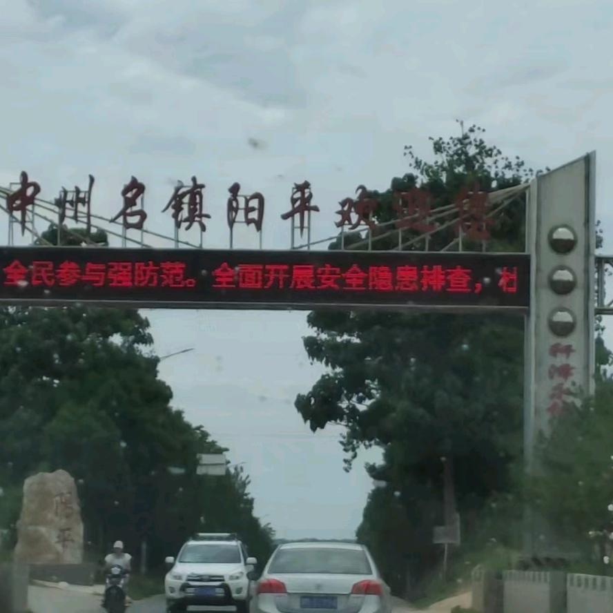 专业养越南斗鸡