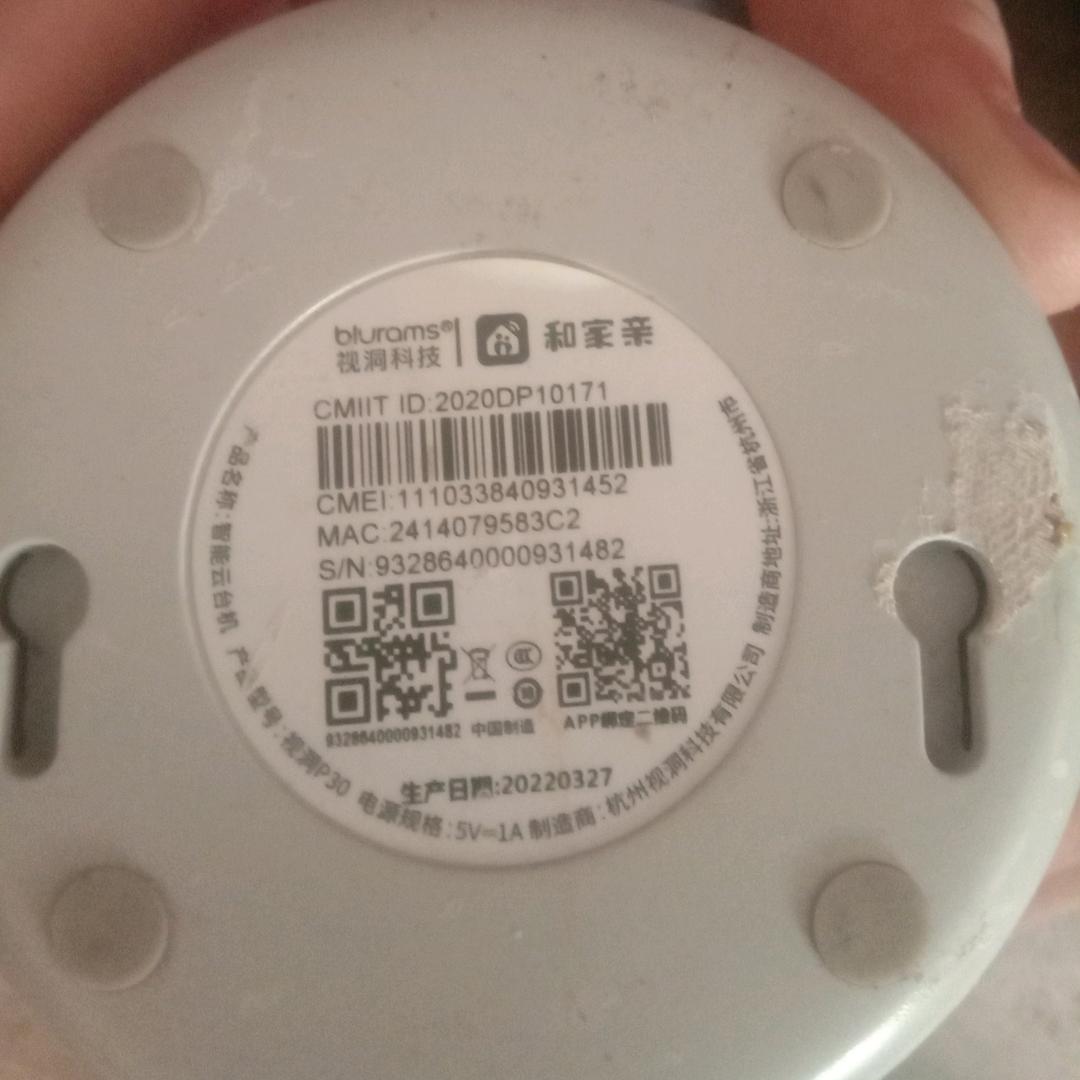 网络情缘