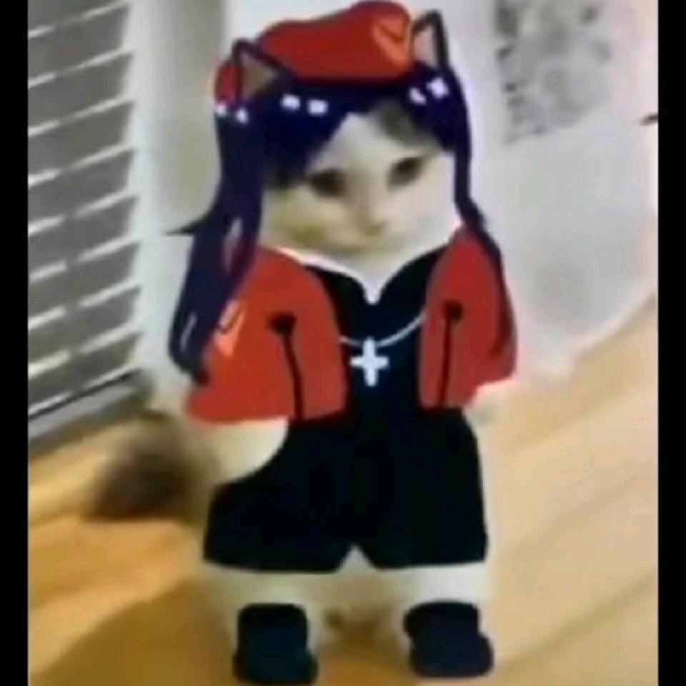 红温信号