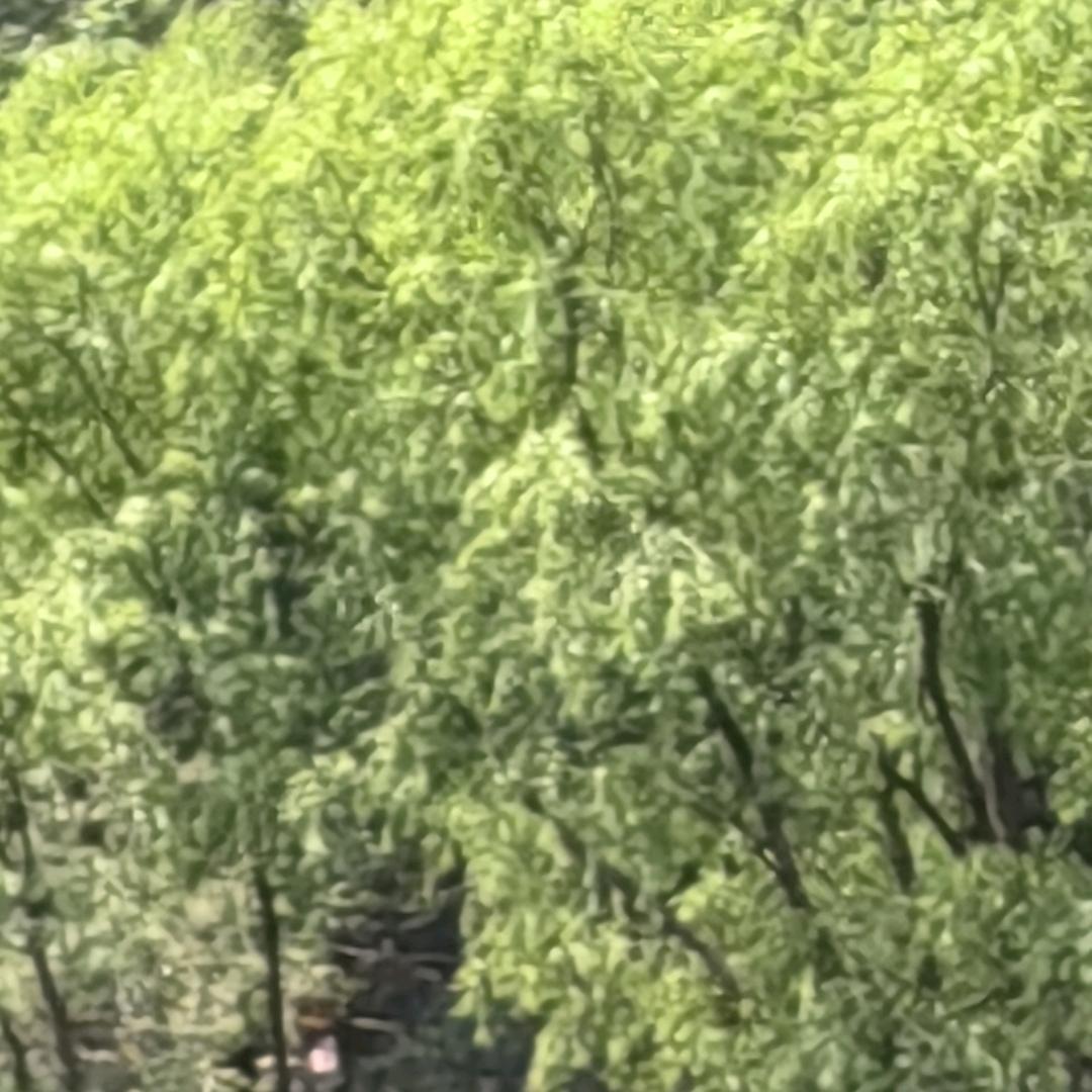 大家一起嗨头像